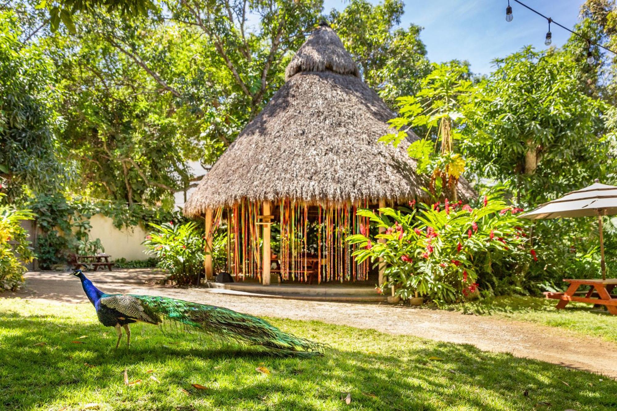 Hotel Villas Sayulita Kültér fotó